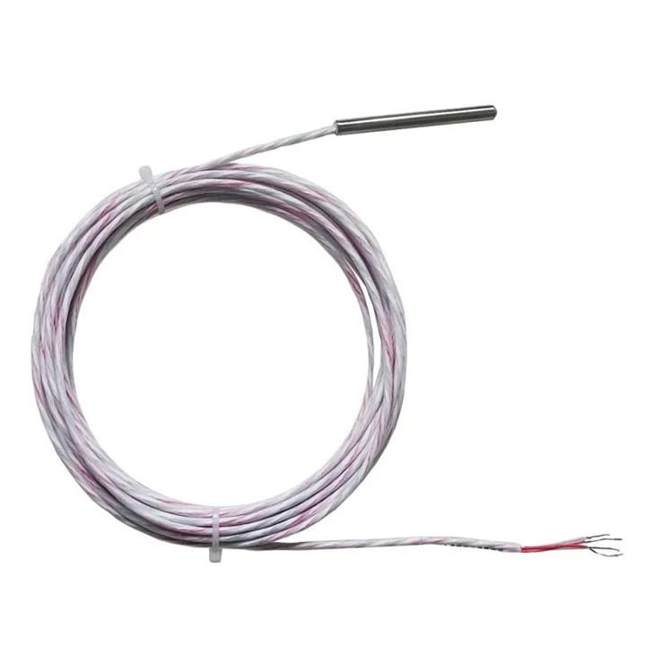 pt100 sensor-2.jpg